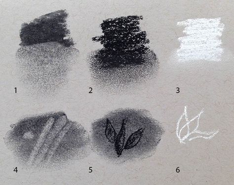 Charcoal Techniques, Charcoal Drawing Tutorial, Basics Of Drawing, Drawing With Charcoal, Drawing Charcoal, Art Charcoal, Charcoal Drawings, Charcoal Sketch, White Drawing