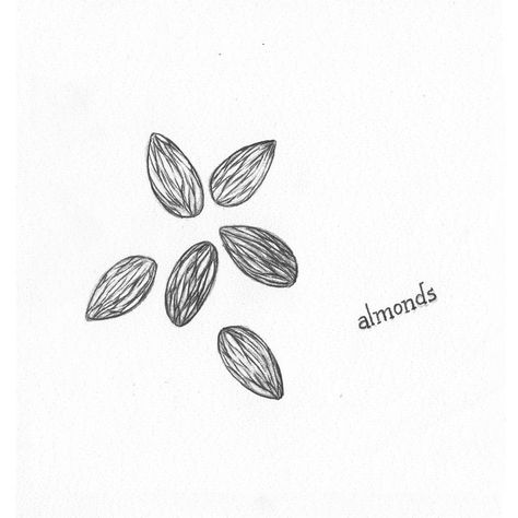 Almond Nut, Human Form, Menorah, Cute Tattoos, Piercings, Mood Board, Almond, Art Drawings, Essence