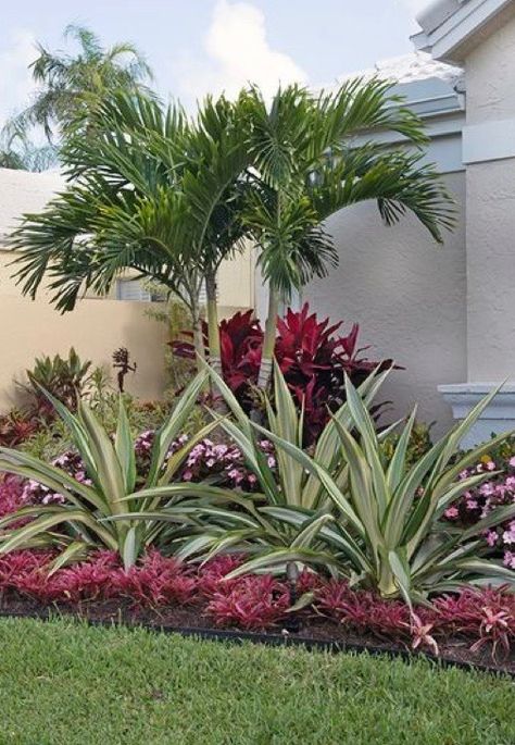 Tropical Fence Design, Pool Corner Landscaping, Front Yard Landscaping Design Florida, Corner Tropical Garden Ideas, Against The House Landscaping Ideas, Tropical Corner Garden, Florida Courtyard Ideas, Florida Landscaping Ideas Front Yards, Tropical Front Yard Landscaping