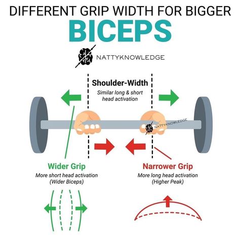 Barbell Curls, Bigger Biceps, Long Outer, Big Biceps, Gym Workout Chart, Gym Tips, Biceps And Triceps, Weight Training Workouts, Workout Chart