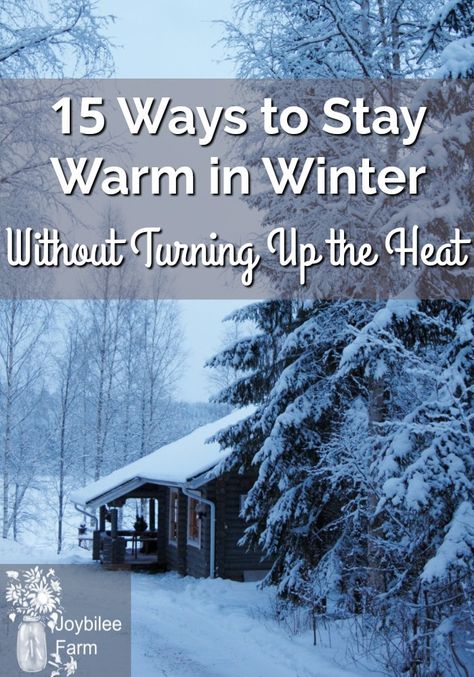 Is there a way to maintain your frugal lifestyle and still stay warm in the winter on the homestead? Use these 15 tips to stay warm in winter without turning up the heat. Winter Preparedness, Maine Winter, Farm Diy, Winter Survival, Seasonal Living, Winter Hacks, Homesteading Skills, Frugal Lifestyle, Grasshoppers