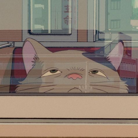 Whispers Of The Heart, Studio Ghibli, A Cat