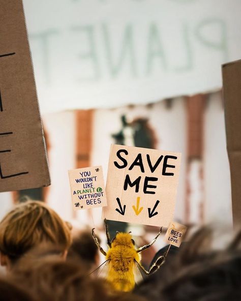 The World's First Influential Bee Is An Activist For The Preservation Of Its Species California Academy Of Sciences, Colossal Art, Yoga Help, Save The Bees, The Bee, Raise Funds, Save Her, Bee Keeping, Save The Planet