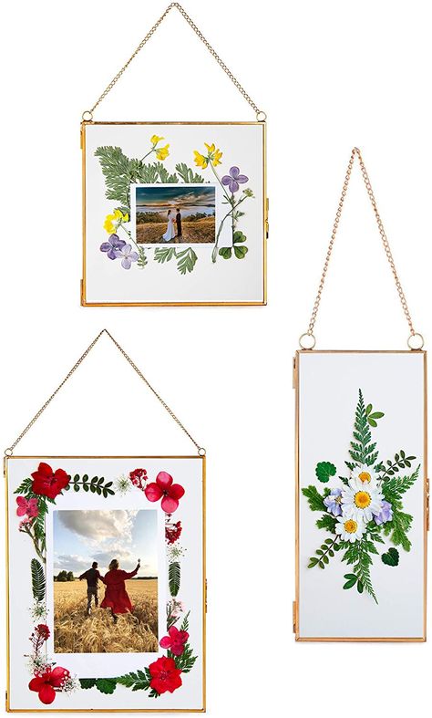 Double Glass Frame, Flower Frames, Tabletop Picture Frames, Hanging Picture Frames, Double Glass, Pressed Flower Art, Hanging Frames, Flower Artwork, Photo Display