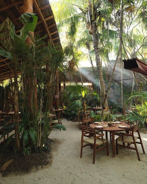 Noma Copenhagen, Forest Cafe, Tree Restaurant, Mexico Design, Permaculture Gardening, Coffee Shops Interior, Garden Cafe, Plant Decor Indoor, Lounge Design