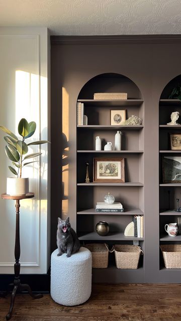 Brown Painted Bookshelves, Brown Built In Bookshelves, Purple Built Ins, Dark Brown Built Ins Living Room, London Clay Paint, Built In Bookshelf Painting Ideas, Brown Built In Shelves Living Room, Black Living Room Built Ins, Dark Brown Built Ins