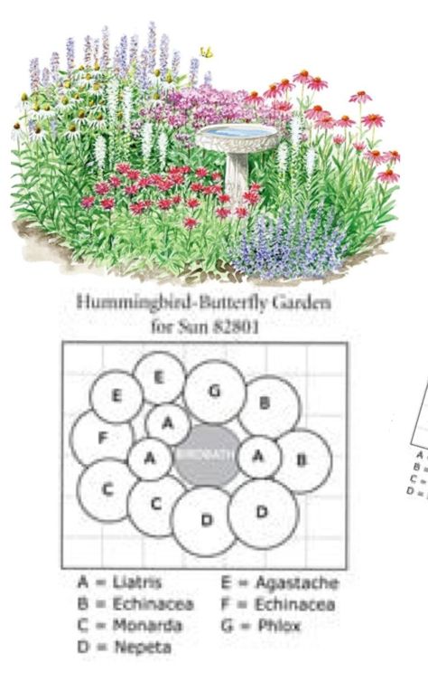 Oval Planter Ideas, Circle Garden, Half Circle Raised Garden Beds, Circle Garden Design Flower Beds, Herb Circle Garden, Semi Circle Garden Bed, Circle Landscape Design Plan, Flower Garden Layouts, Low Maintenance Garden Design