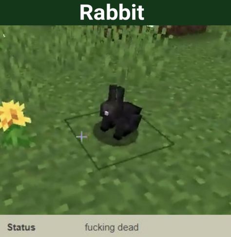 Minecraft Rabbit, Rabbit Meme, Play Minecraft, How To Play Minecraft, The Rabbit, Cute Bunny, Bunny Rabbit, Minecraft, Ghost