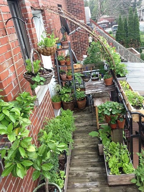 Porch Garden Apartment, Apartment Porch Garden, Apartment Patio Garden, Balcony Vegetable Garden, Urban Gardening Balcony, Townhouse Garden, Small Balcony Garden, Small Vegetable Gardens, Small Patio Garden