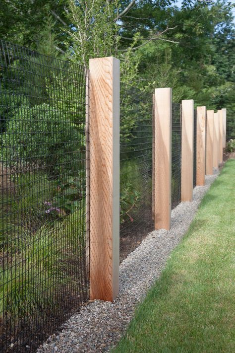 Rural Fencing Ideas, Deer Fencing, Pool Fencing, Florida Garden, Fencing Ideas, Exterior Inspiration, Landscape Design Plans, Fence Landscaping, Dog Fence