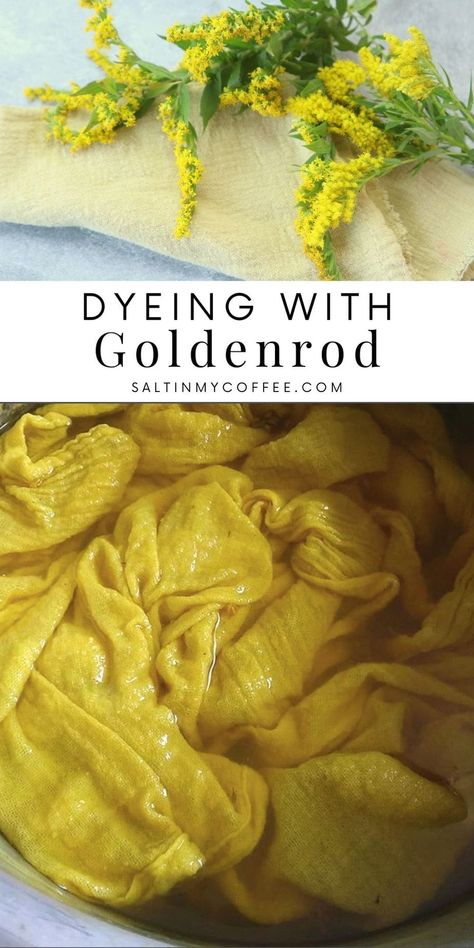 How to dye with goldenrod Lemon Yellow Color, Fabric Dyeing Techniques, Diy Dye, Natural Dye Fabric, Eco Dyeing, Fabric Dyeing, Natural Resource, Summer Harvest, Natural Dyeing