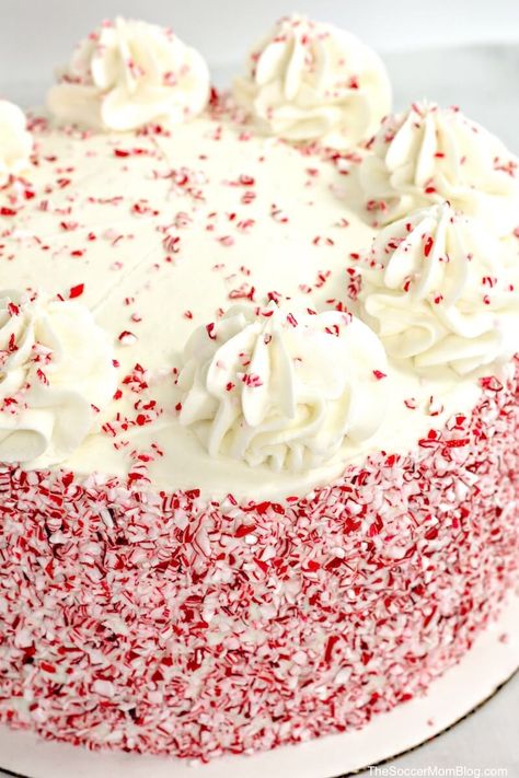 Peppermint Cake Decoration, Chocolate Candy Cane Cake, Candy Cane Frosting, Peppermint Frosting Recipe, Candy Cane Birthday Cake, Candy Cane Cake Ideas, Candy Cane Christmas Cake, Pepermint Cake, White Chocolate Peppermint Cake