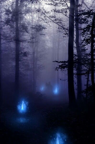 Will O The Wisp, Fantasy Forest, Fantasy Aesthetic, Fantasy Inspiration, Story Inspiration, Dark Forest, Enchanted Forest, Fantasy Landscape, Fantasy World