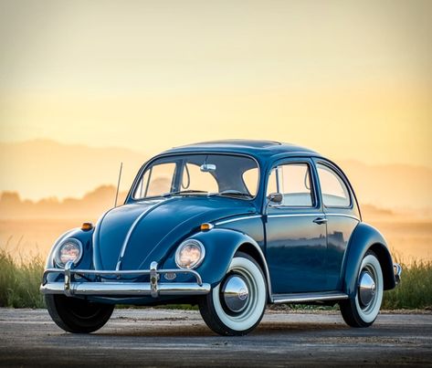 1965 Vw Beetle, Vintage Vw Campervan, Car Beetle, Volkswagen Beetle Vintage, Motor Klasik, Classic Volkswagen, Triumph Scrambler, Beetle Car, Vw Beetle Classic