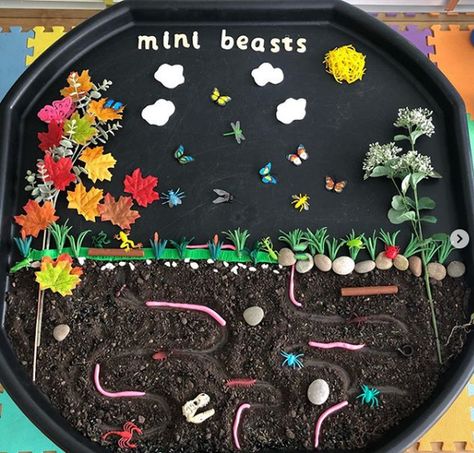 Minibeast Display, Sensory Tuff Tray Ideas, Tuff Tray Ideas For Toddlers, Minibeasts Eyfs, Tuff Tray Activities, Tuff Tray Ideas Toddlers, Mini Beasts, Tuff Tray Ideas, Tuff Spot