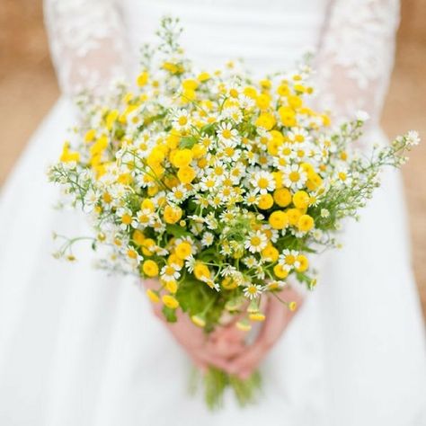 Pretty and Practical: 20 Small Wedding Bouquets that You'll Love | OneFabDay.com Ireland Yellow Wedding Colors, Yellow Wedding Bouquet, Bouquet Champetre, Small Wedding Bouquets, Wedding Flowers Wildflowers, Small Yellow Flowers, Deco Champetre, Yellow Bouquets, Yellow Wedding Flowers