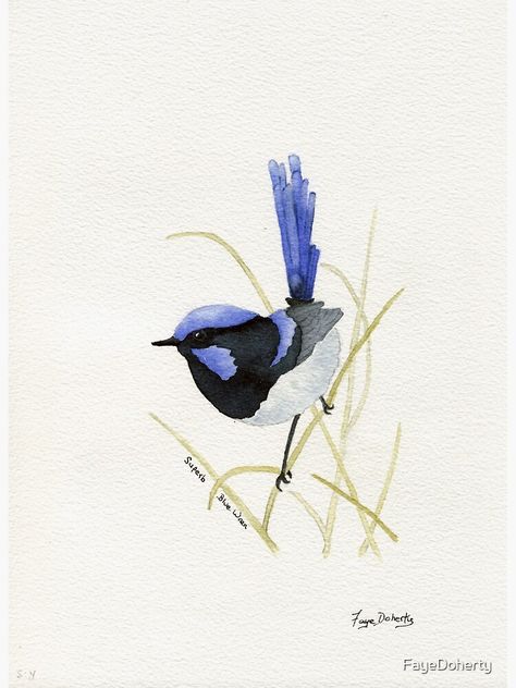 "Superb Blue Wren" Canvas Print for Sale by FayeDoherty | Redbubble Wren Painting, Blue Wren, Bird Watercolor Paintings, Arches Watercolor Paper, Flower Art Drawing, Tinta China, Watercolour Paper, Watercolor Bird, Painting Photos