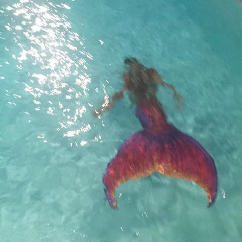 Underwater Shoot, A Mermaid, Mermaid Tail, Mermaid, Coconut, Swimming, Instagram Post, Water, Instagram