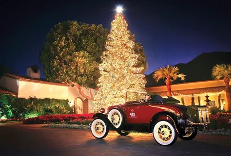 49 Things to Do in Greater Palm Springs in December 2021 Palm Springs Christmas, Best Christmas Destinations, Christmas Destinations, Cathedral City, Holiday Postcard, Christmas Events, Miramar Beach, Coachella Valley, Palm Desert