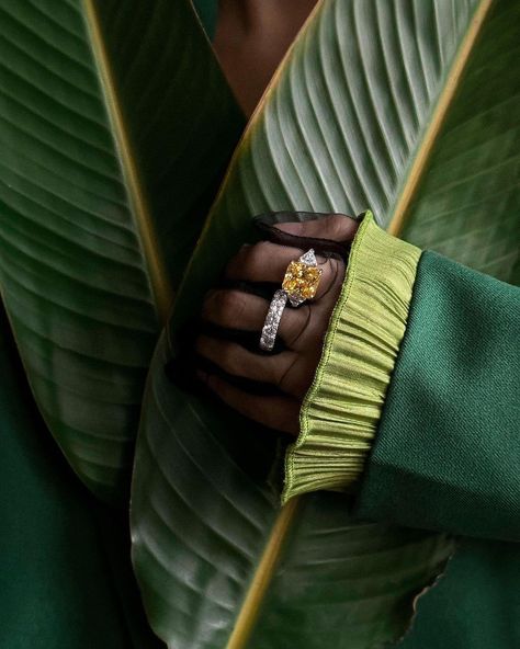 Jewelry Mood Board, Inspo Photoshoot, Jewellery Shoot, Jewellery Photography Inspiration, Tropical Jewelry, Jewellery Exhibition, Jewelry Photography Styling, Jewelry Editorial, Jewellery Photography