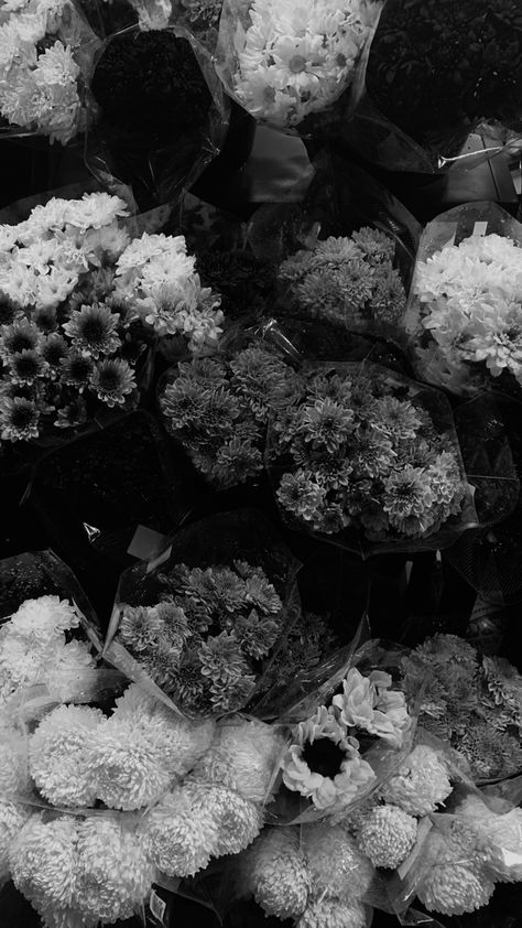 Black And White Flowers Aesthetic, Dark Wallpapers Aesthetic Vintage, Aestetic Pict, Pin Wallpaper, Black And White Wallpaper Iphone, Wallpaper Wa, Wallpaper Hp, Floral Wallpaper Phone, Iphone Black