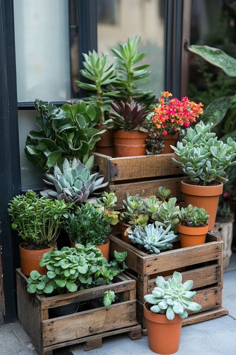 Enhance your home and garden with simple DIY planters that add greenery and charm to both indoor and outdoor spaces. #DIYPlanters #IndoorGardening #OutdoorDecor #GreeneryIdeas Container Garden Aesthetic, Gardening In A Rental Home, Organize Plants Indoor, Deck Decorating With Plants, Outdoor Spaces Diy, Recycled House, Creative Planter, Outside Plants, Eco Friendly Decor