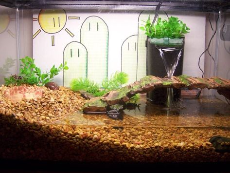 Pet Turtle Care, Aquatic Turtle Tank, Turtle Cage, Turtles Pet, Turtle Tank Ideas, Turtle Tank Setup, Turtle Enclosure, Crab Tank, Turtle Tanks