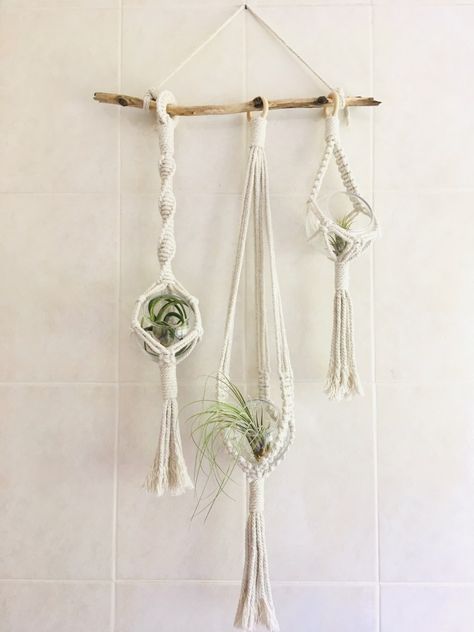 Glass Bowl Air Plant Hangers Tutorial Series Macrame Air Plant Hanger Diy, Plants In Glass Bowl, Macrame Keyrings, Macrame Decoration, Plant In Glass, Driftwood Ideas, Diy Terrarium, Small Indoor Plants, Air Plant Display