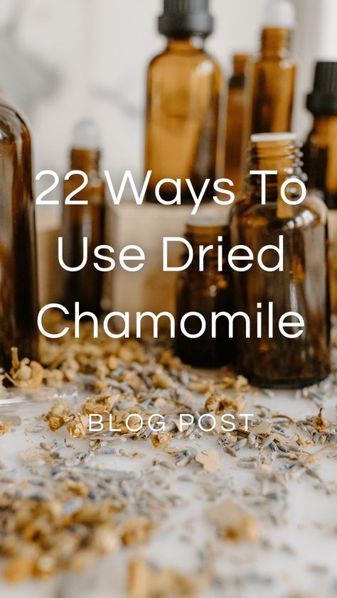 Chamomile Essential Oil Blends, Dried Chamomile, Chamomile Recipes Food, Dried Chamomile Uses, Chamomile For Hair, Chamomile Tea Recipe, Chamomile Recipes, Infused Lemonade, Herbal Remedies Recipes