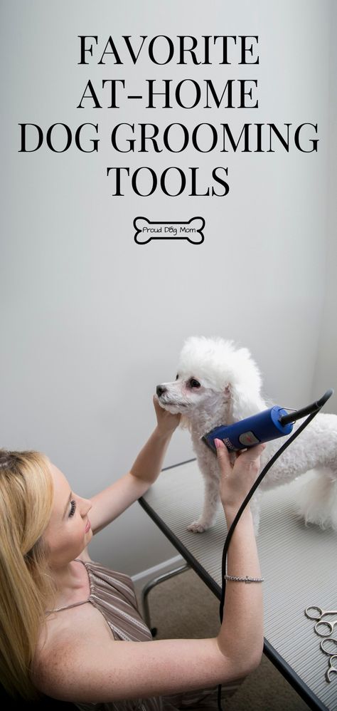 Dog Grooming Diy, Grooming Hacks, Dog Grooming Tools, Dog Grooming Clippers, Dog Grooming Scissors, Dog Grooming Shop, Puppy Grooming, Dog Grooming Tips, Poodle Grooming