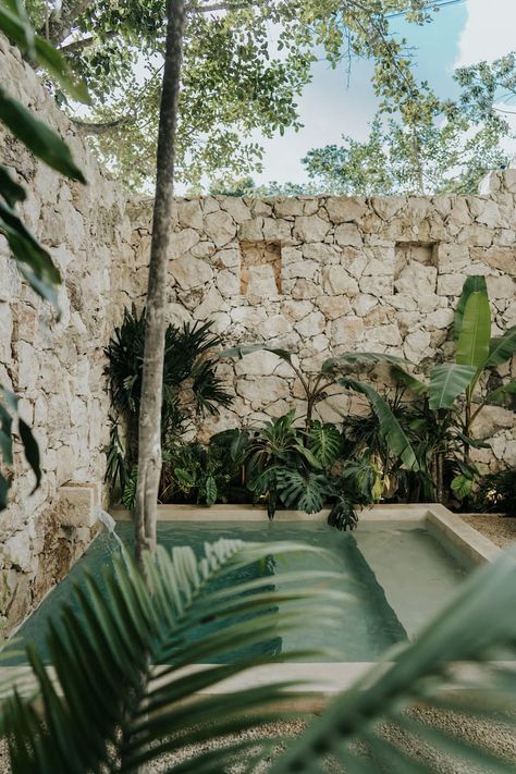 Design Casa Azhar with private Pool at ALTAR Tulum - Serviced apartments for Rent in Tulum, Quintana Roo, Mexico - Airbnb Patio Chico, Tiny House Closet, Tulum Resorts, Dream Patio, Quintana Roo Mexico, Bali House, Tulum Beach, Design Apartment, Small Pool