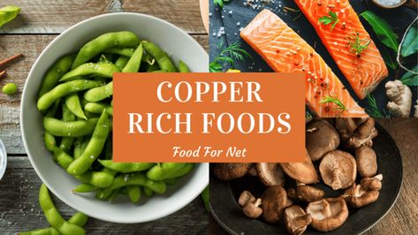 Copper is an important trace mineral, one that helps our body with energy production, the creation of red blood cells, and immune system function. Copper is also essential for iron absorption, to the extent that insufficient copper can lead to iron deficiency. Thankfully, there are many copper rich foods for you to include in your […] Copper Rich Foods Minerals, Food Sources Of Copper, Foods Rich In Copper, Foods With Copper, Foods High In Copper, Copper Deficiency Symptoms, Copper Rich Foods, Copper Foods, Copper Deficiency