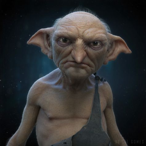 Harry Potter House Elf, House Elf, House Elf Harry Potter, Harry Potter Elf, Harry Potter Rpg, Harry Potter Castle, Elf Characters, Zbrush Character, Harry Potter Halloween