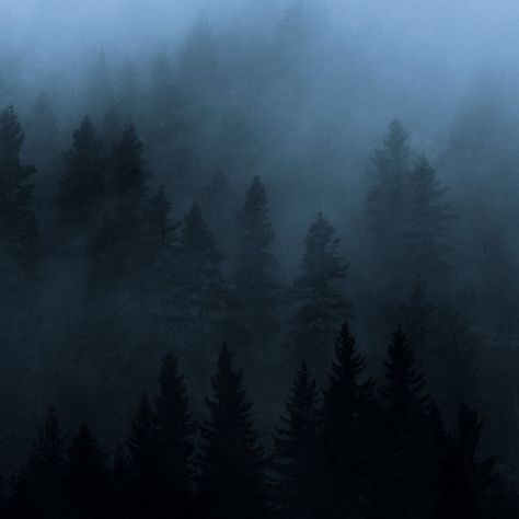 Blue Weather Aesthetic, Blue Woods Aesthetic, Blue Mist Aesthetic, Foggy Blue Aesthetic, Blue Twilight Aesthetic, Blue Forest Aesthetic, Aurelia Aesthetic, Lori Aesthetic, Raven Core