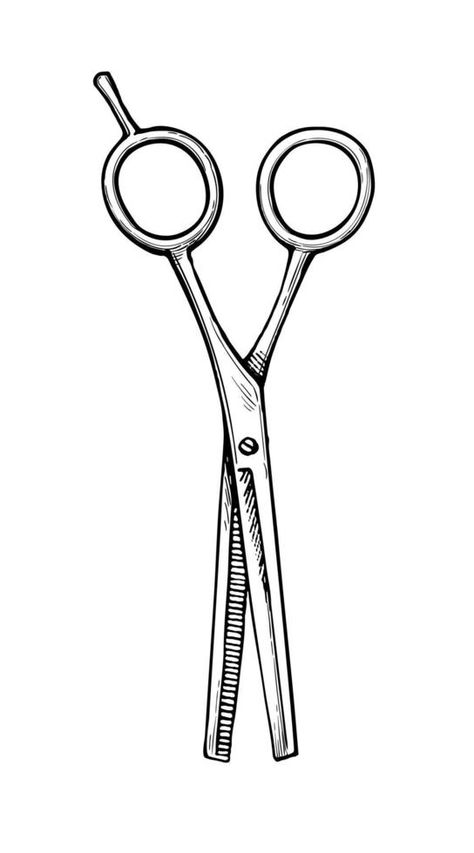 Hairdressing scissors. Ink sketch isolated on white background. Hand drawn vector illustration. Vintage style stroke drawing. Hairdressing Scissors, Hand Drawn Vector Illustrations, Drawing Drawing, Illustration Vintage, Hand Drawn Vector, Ink Sketch, White Background, Vintage Style, Hand Drawn