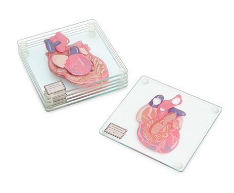 30 Increíbles regalos que todo médico espera recibir alguna vez en su vida | recreoviral Anatomic Heart, Geek Home Decor, Cardiologist Gift, Medical Student Gift, Geek Decor, Medical Gifts, Weird Gifts, Think Geek, Anatomical Heart