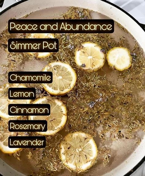 Coven Spells, Wiccan Practices, Diy Grimoire, Burning Herbs, Simmering Pot, Simmer Pots, Simmer Pot Recipes, Stove Top Potpourri, Kitchen Witch Recipes