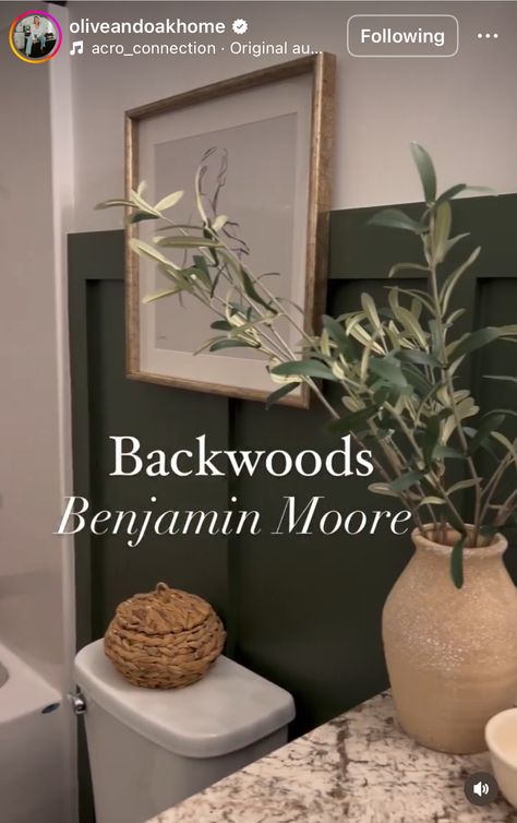 Dark Green Paint Bathroom, Dark Green Accent Wall Bathroom, Moody Earthy Bathroom, Moody Earthy Home, Moody Paint Palette, Backwoods Benjamin Moore, Green Accent Wall Bathroom, Open Concept Paint Schemes, Half Bath Paint Colors