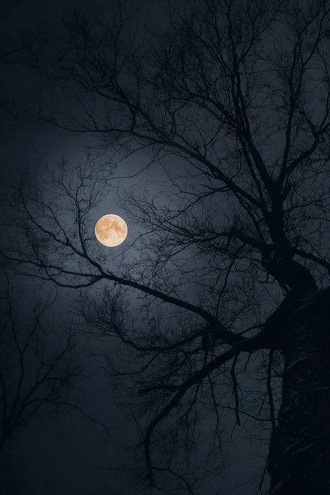 Dark Dps For Whatsapp, Moon Asethic Pictures Wallpaper, Moon Landscape Aesthetic, Pretty Moon Pictures, Night Sky Moon Aesthetic, Moon Aesthetic Pictures, La Luna Aesthetic, Darkside Aesthetic, Night Sky Wallpaper Aesthetic