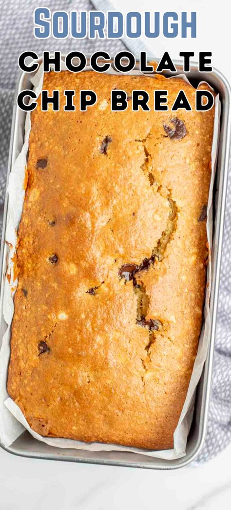 Discover the unique blend of tangy sourdough and sweet chocolate in this scrumptious sourdough chocolate chip bread recipe. Perfect for any occasion, it is a delightful treat that will leave your friends and family asking for more! Chocolate Chip Sourdough Bread, Sourdough Treats, Chocolate Chip Bread Recipe, Recipe Using Sourdough Starter, Raspberry Chocolate Chip, Discard Recipe, Recipes From Scratch, Food Recipes Homemade, Dough Starter