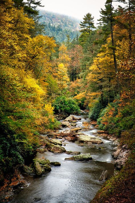 Mountains In North Carolina, Mountain Pics, Highlands North Carolina, Fall Scenery, Highlands Nc, Water Stream, Blackout Tattoo, Mountain Pictures, Western Nc