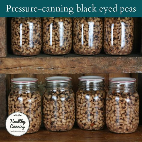 Canning Chow Chow, Canned Black Eyed Peas Recipe, Canned Black Eyed Peas, Canning Peas, Canning Squash, Blackeyed Pea Recipes, Healthy Canning, Canning Beans, Canning For Beginners