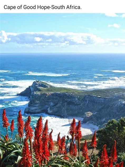 Cape Of Good Hope, Africa Travel, City Skyline, South Africa, Natural Beauty, Cape, Natural Landmarks, Travel, Nature