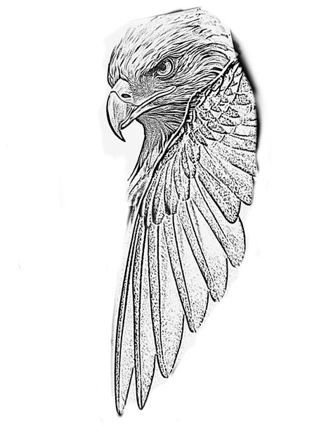 Eagle Head Tattoo Design, Bird Of Prey Tattoo, Eagle Head Tattoo, Bald Eagle Tattoos, Camping Tattoo, Wings Sketch, Animal Stencils, Clock Tattoo Design, Egypt Tattoo