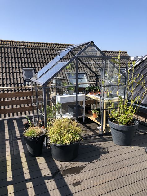 Greenhouse on the roof terrace Greenhouse On Balcony, Roof Top Greenhouse, Greenhouse On Rooftop, Rooftop Greenhouse Roof Gardens, Greenhouse Terrace, Townhouse Rooftop, Balcony Greenhouse, Rooftop Greenhouse, Small Garden Plans