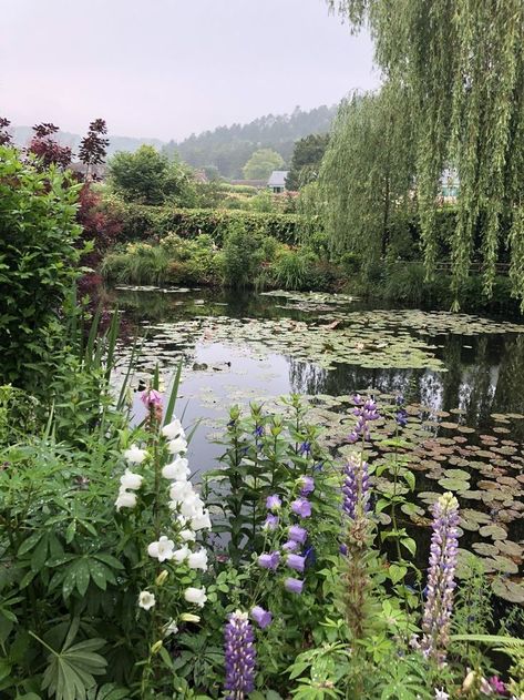 Lily Pond Garden, Cottage With Pond, Monet’s Garden, Pond In Woods, Pond Lillies, Cottage Pond, Pond With Flowers, Pond With Lily Pads, Lake Plants