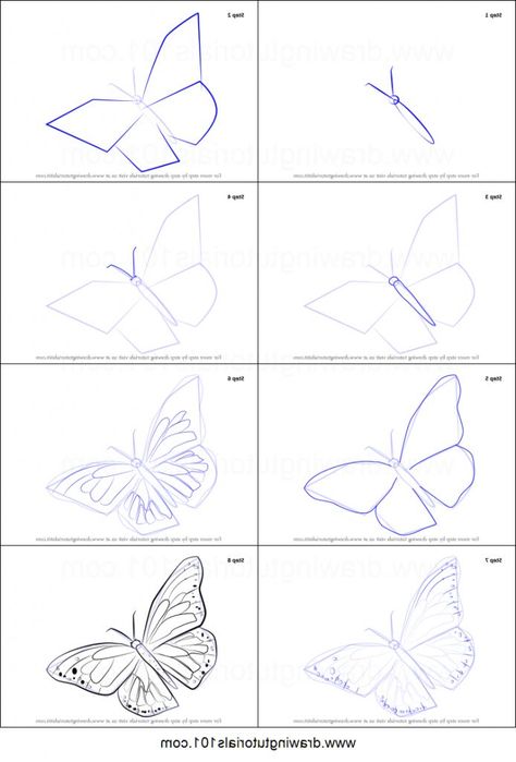 How To Draw A Papilio Butterfly Printable Step By Step Drawing Sheet 8F2 Colorful Butterfly Drawing, Butterfly Drawing Easy, Draw A Butterfly, Photo Butterfly, Easy Butterfly Drawing, Drawing Easy Step By Step, Butterfly Art Drawing, Butterfly Sketch, Drawing Photo