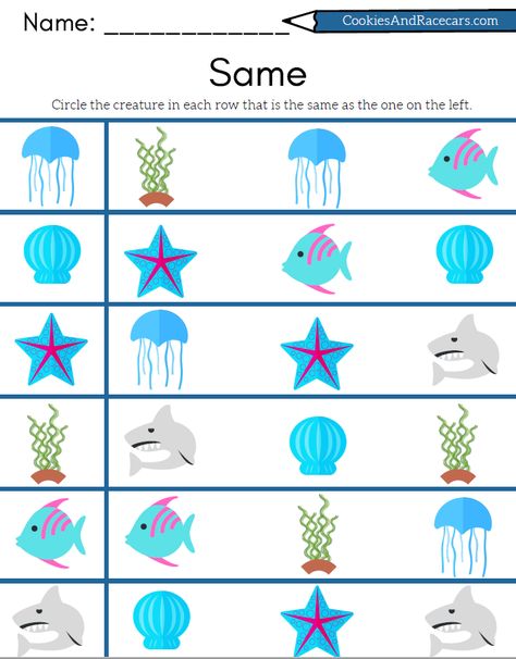 Ocean Animals Worksheets Preschool, Ocean Theme Worksheets, Oceans Worksheet, Ocean Math Worksheets, Ocean Worksheets, Worksheets For Prek, Ocean Animals Math Preschool, Ocean Activities Preschool, Ocean Preschool