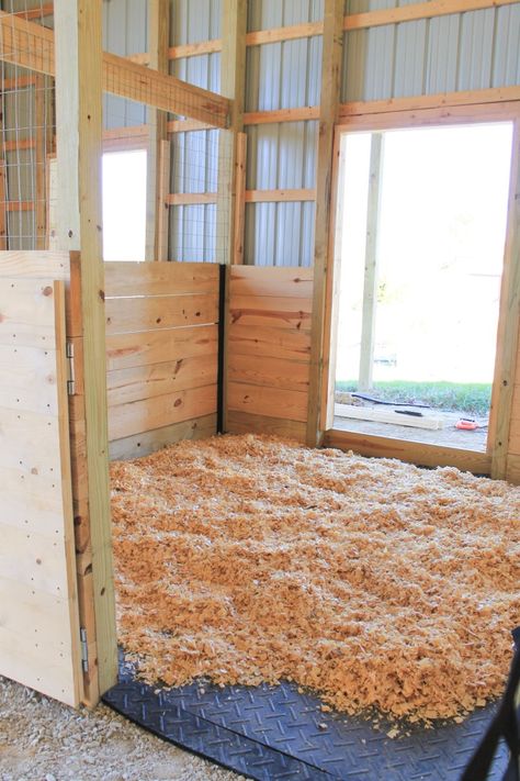 Small Horse Stall Ideas, Horse Farms Ideas, Mini Horse Stall Ideas, Horse Stall Flooring, Diy Stalls For Horses, Horse Stall Ideas Diy, Barn Stall Ideas, Easy Horse Stalls, Cow Stall