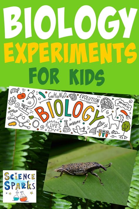 Classifying Animals, Biology For Kids, Biology Experiments, Biology Resources, Biology Science, Plant Structure, Homeschooling Tips, Experiments For Kids, Science Club